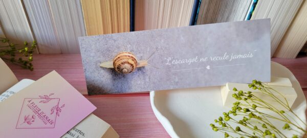 Marque-page L'escargot ne recule jamais, photographie d'un escargot au recto et un fond dégradé pastel au verso